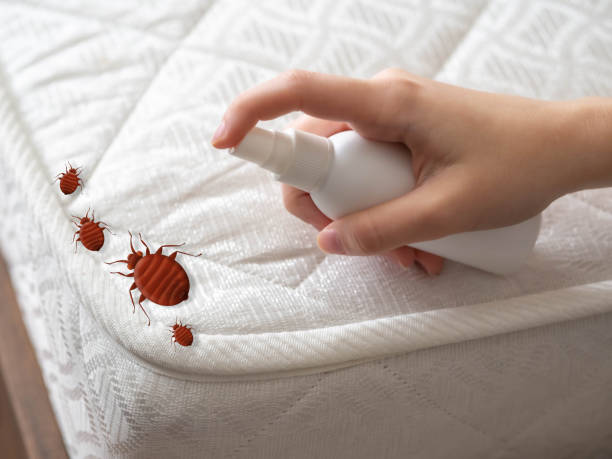 Best Residential Pest Control  in Ocean Grove, NJ