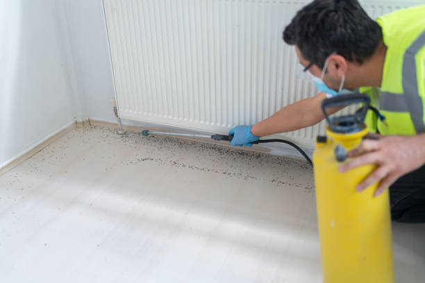 Best Commercial Pest Control Services  in Ocean Grove, NJ